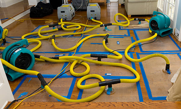 Professional Sewage Cleanup technician working in Pueblo, CO